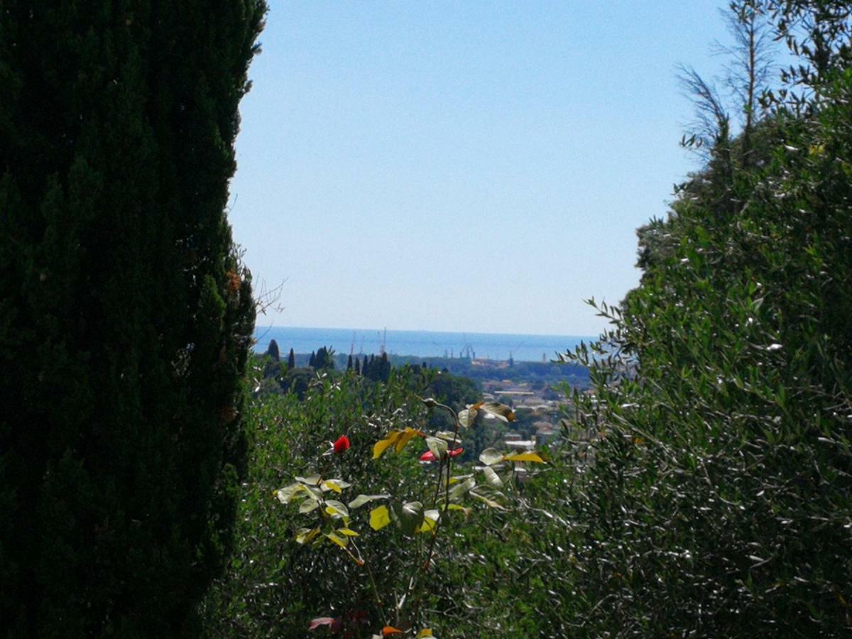 Willa Da Adria Al Corvenale - Casa Vacanze Carrara - Zewnętrze zdjęcie